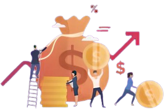 About Investor Solution